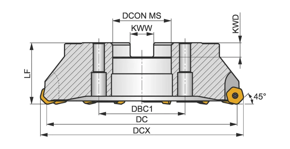 1000C14R-IS45HN09CF