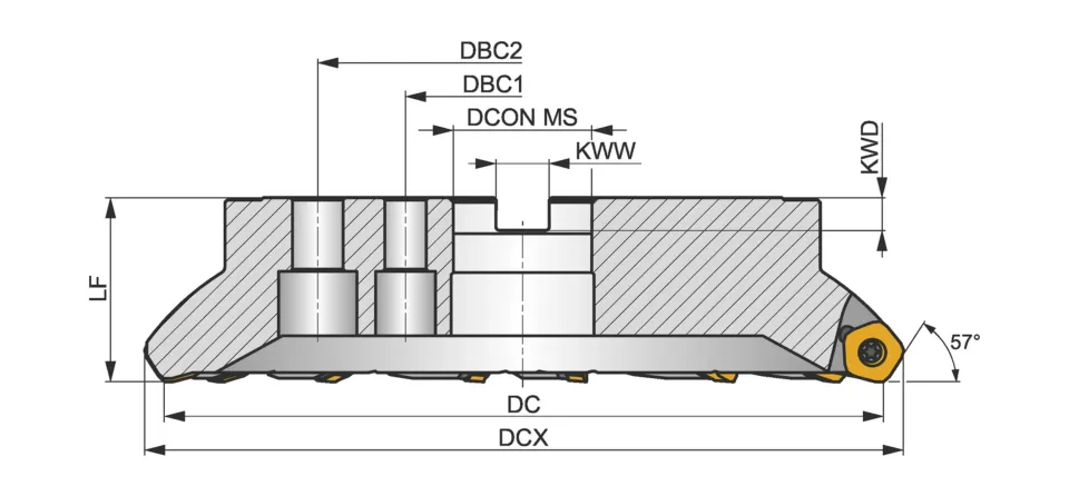 1000C12R-IS57PN13