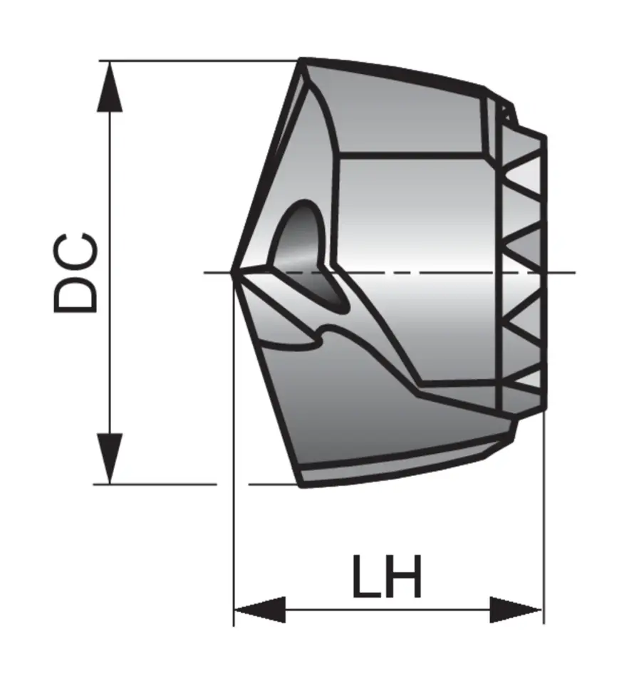 R97019.1
